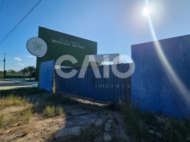 Terreno em São José de Mipibu - Foto